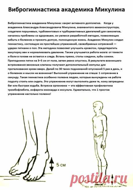 Виброгимнастика академика Микулина