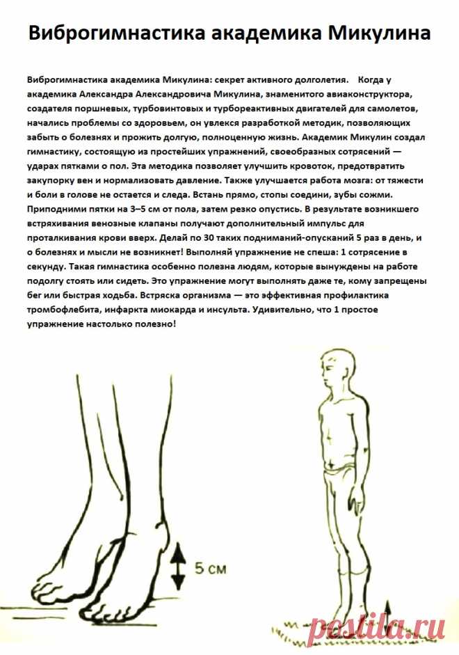 Виброгимнастика академика Микулина