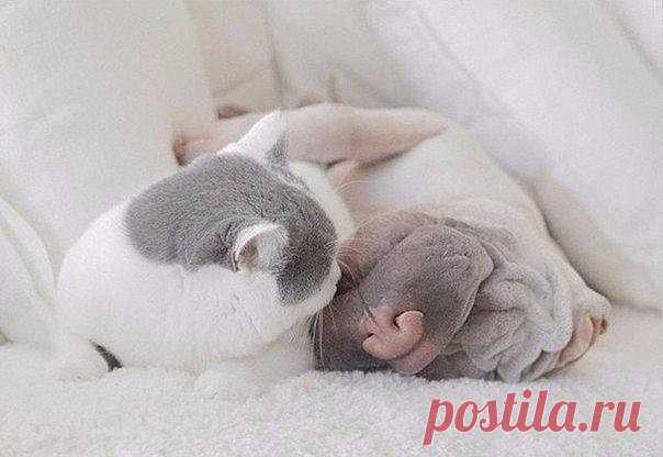 ©Handmade / Рукоделие