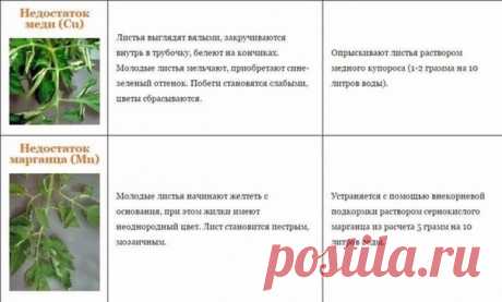 на всякий случай