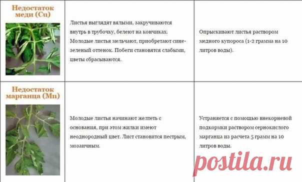 на всякий случай