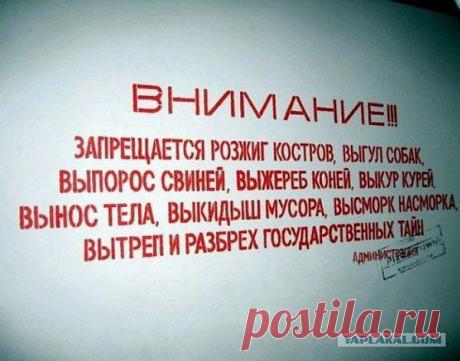 Интересные новости