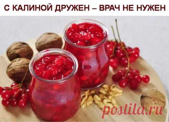 С КАЛИНОЙ ДРУЖЕН – ВРАЧ НЕ НУЖЕН
ЦЕЛЕБНЫЕ свойства КАЛИНЫ: простые рецепты.
Калина - одна из самых ПОЛЕЗНЫХ ягод в природе. 
В калине всё ЦЕЛЕБНО: кора, веточки, цветы, ягоды и сушёные косточки. 
Наши предки о лечебных свойствах калины, знали, что ее ягоды улучшают работу сердца, обладают успокаивающим действием.
Витамина С в калине в 1, 5 раза больше чем в лимоне. В ней есть железо, селен, йод, каротин, фосфор.
С мёдом калину назначали при простудных заболеваниях.
Чай из калины пили при гной