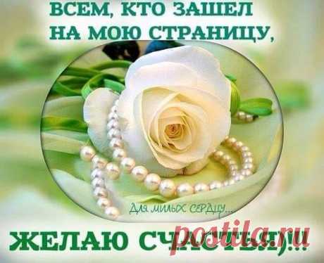 Обновленные акции 1+2, 1+1!
Все скидки и акции! 
-50%, -40%, -20% 
собраны все товары, на которые действуют специальные предложения, скидки или акции.