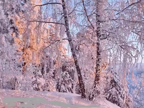 (5) Мой Мир@Mail.Ru