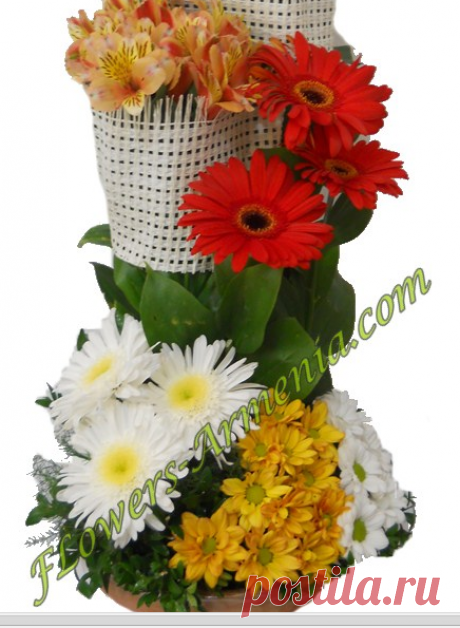 24/7 Доставка цветов в Армению! Доставка цветы в Ереван круглосуточно | Arrive In Style, купить цветы Ереван, l-59