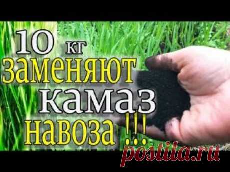 ЗАБУДЬТЕ ПРО НАВОЗ!ЭТО СРЕДСТВО ЭФФЕКТИВНЕЕ В 1000 РАЗ!!!