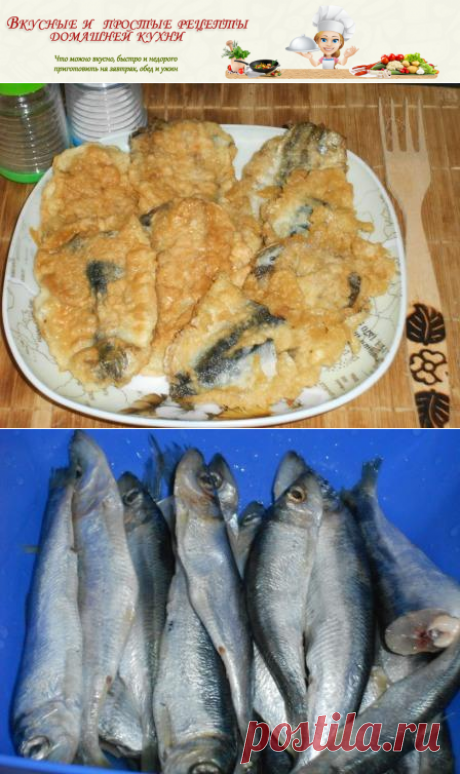 Биточки рыбные рецепт с фото