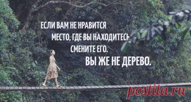 Позитивные советы / Писец - приколы интернета
