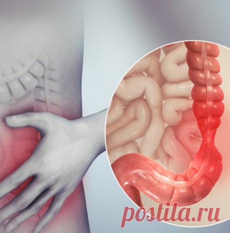Хроническая усталость берёт начало в кишечнике / Будьте здоровы