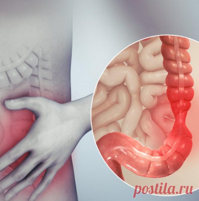 Хроническая усталость берёт начало в кишечнике / Будьте здоровы