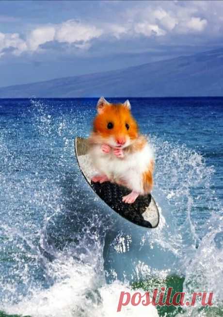 Поймай волну, впереди интересные виражи🏄‍♀️