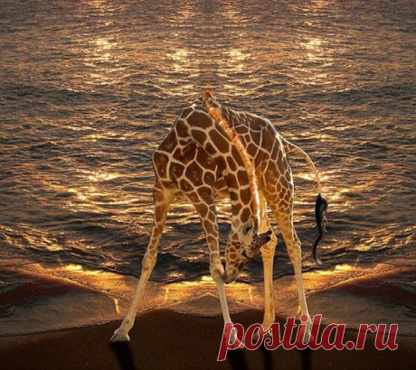 Потрясающие фото / Peter Holme III