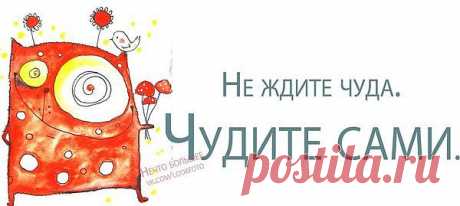 Чудите!!!
