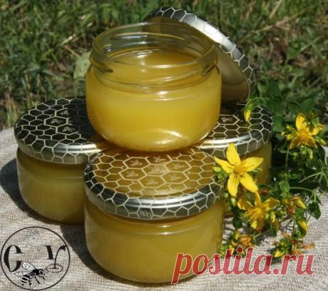 ЛЕЧЕБНЫЕ И ПОЛЕЗНЫЕ СВОЙСТВА ПРОПОЛИСА + НАРОДНЫЕ РЕЦЕПТЫ - Калейдоскоп событий