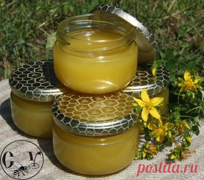 ЛЕЧЕБНЫЕ И ПОЛЕЗНЫЕ СВОЙСТВА ПРОПОЛИСА + НАРОДНЫЕ РЕЦЕПТЫ - Калейдоскоп событий