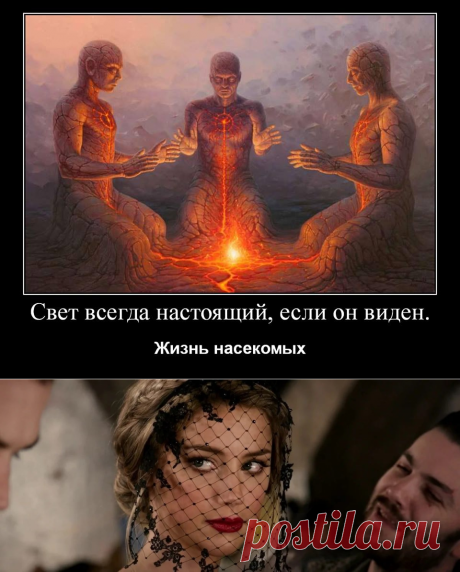 (20+) Пелевин. Цитаты версии...(В память Тенгри Дзогчена) : Востребованная красивая самка ведет себя с осаждающими ее самцами цинично и равнодушно именно потому, что она понимает свою роль в мужском мире | Facebook