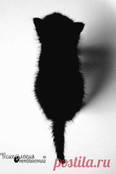 Фотографии на стене сообщества | 32 778 фотографий