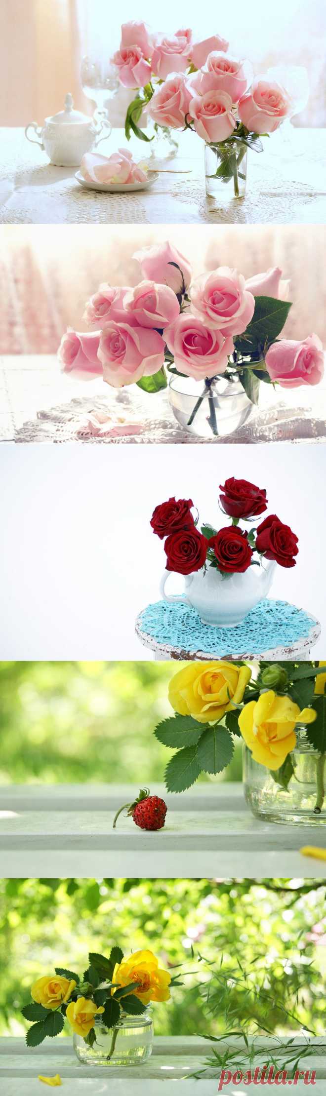 Великолепное весенне-летнее настроение от olemela.