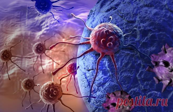 Онколог: 5 вещей, которые я бы сделал, если бы сегодня мне поставили диагноз «рак»