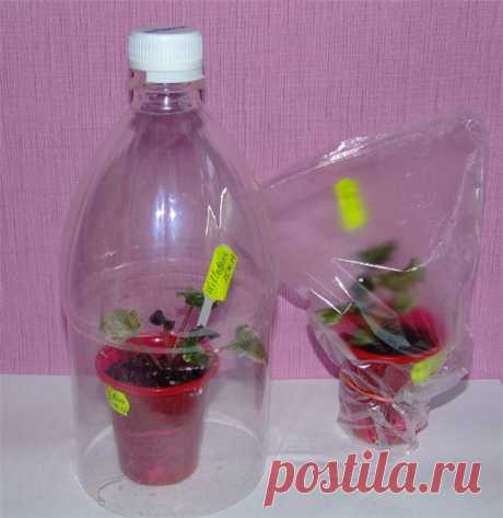 Поделки ЭКО | 288 фотографий