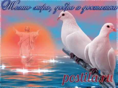 (44) Одноклассники