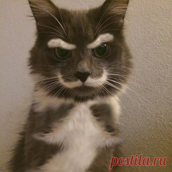 Строгий.