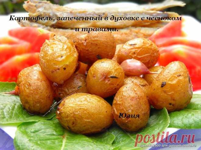 Картошка ни в чём не виновата. | Познай себя!
