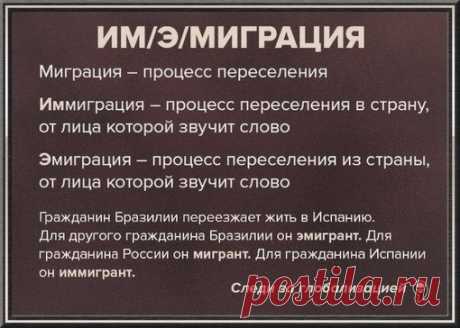 Все мы учили русский в школе, и многие знали его на отлично, но все равно нет-нет да и проскакивают ошибки в речи. Еще и в самый неподходящий момент — в письме.