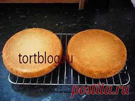 Как правильно приготовить бисквит...!!! - Простые рецепты Овкусе.ру