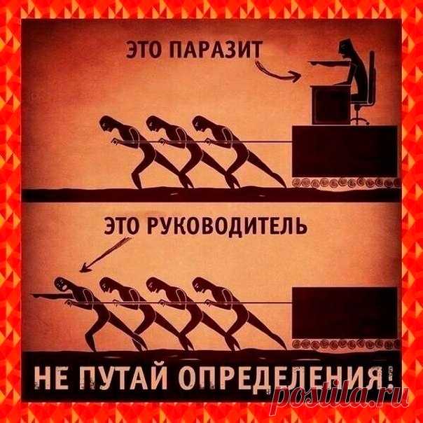 8 важных качеств руководителя-лидера — Бизнес-клуб — Профессионалы.ru