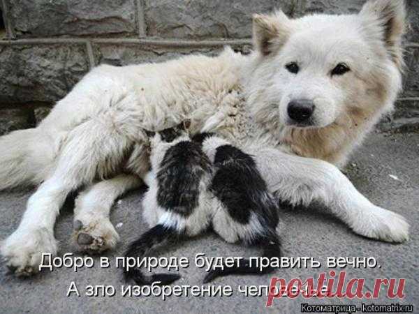 материнство...