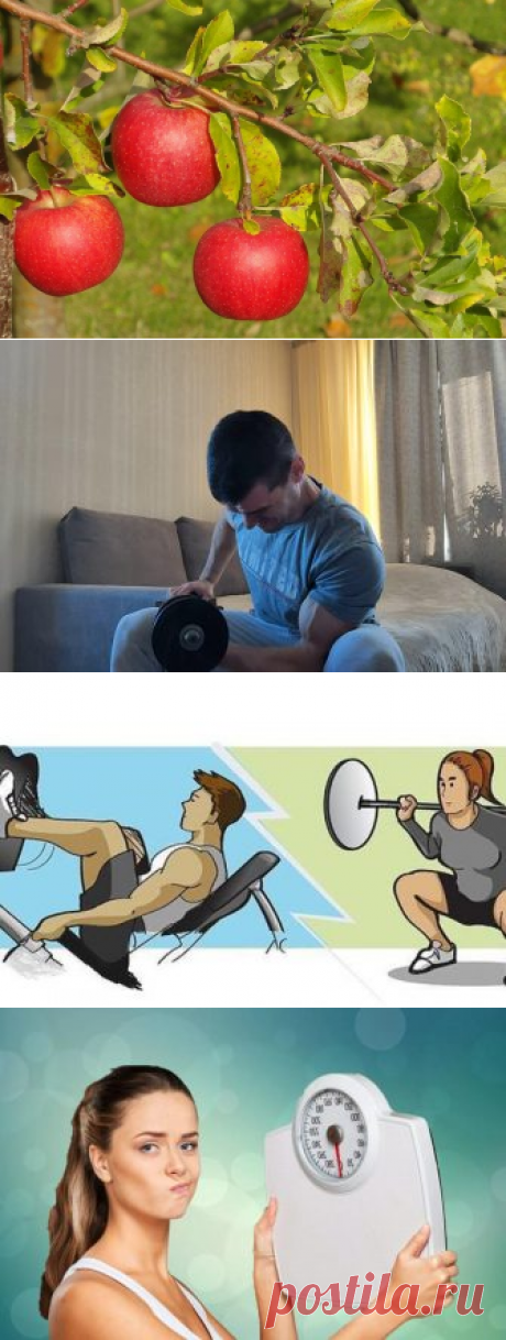 Польза яблок для организма человека
Яблоки самые известные людям фрукты. Их употребляли в пищу ещё во времена неолита, о чём свидетельствуют археологические раскопки. Изучая эти дары природы, специалисты обнаружили в них много полезных веществ, необходимых для жизнедеятельности человека. Состав: Медики установили, что съеденные 2–4 яблока, удовлетворяют суточную норму организма в витаминах. Больше всего в яблоках витамина «С». Также они содержат […]
Читай дальше на сайте. Жми подробнее ➡