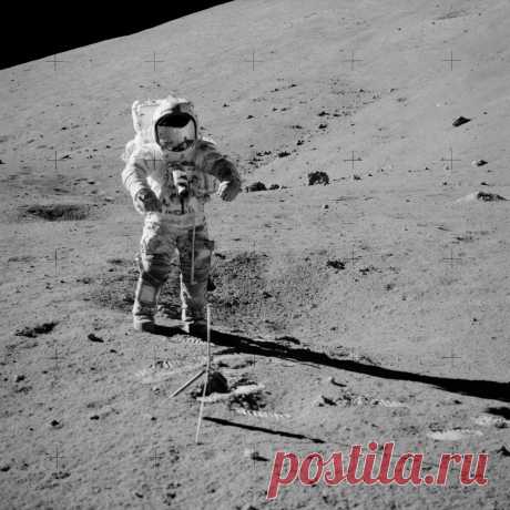 HUMANOID HISTORY : Photo