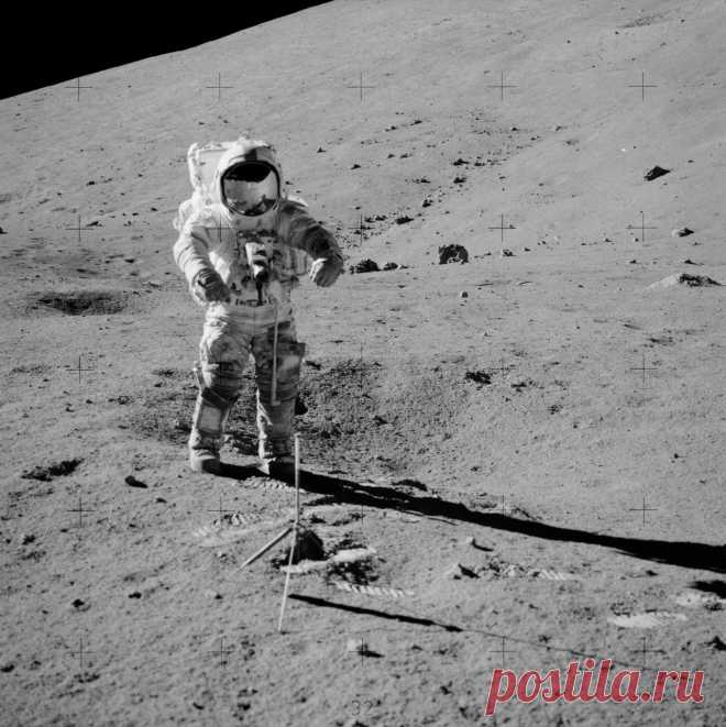 HUMANOID HISTORY : Photo