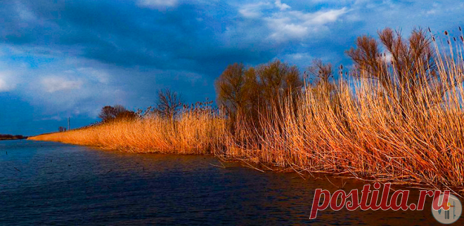 Живцовая удочка на живца + с лодки на живца