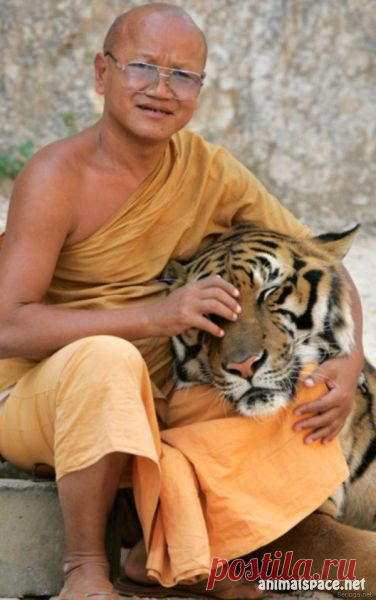 Люди и животные » Редкие животные, дикие животные, необычные животные и мифические животные на animalspace.net