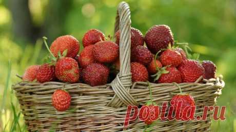 basket-of-strawberries-wallpaper-1366x768.jpg (1366×768)