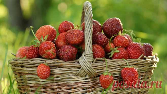 basket-of-strawberries-wallpaper-1366x768.jpg (1366×768)