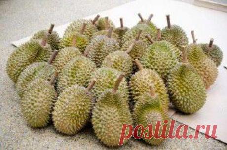 10 удивительных фактов, которые вы не знали о фруктах