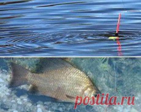 Водоналивной поплавок