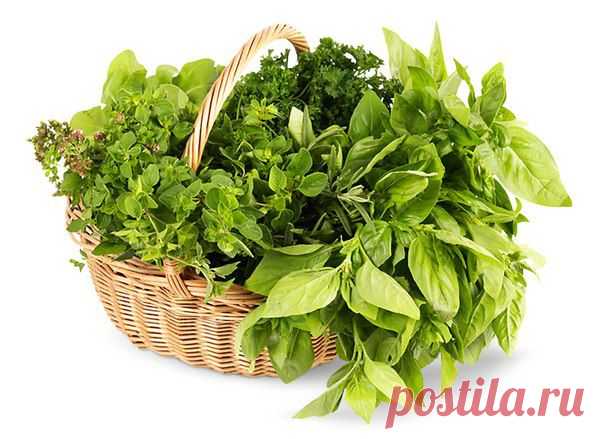 Продукты для здоровья почек