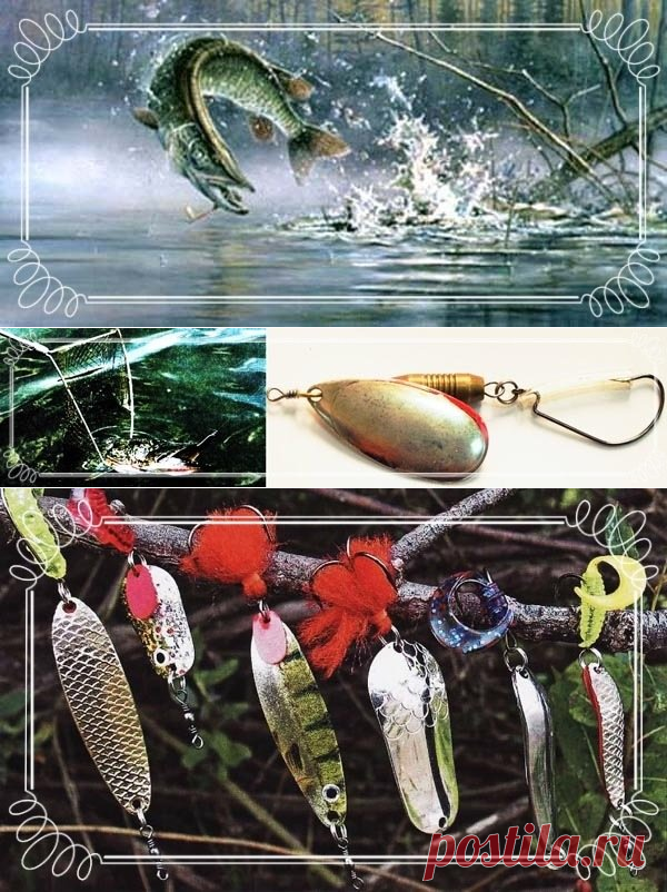 Ловля на вертушки и колебалки