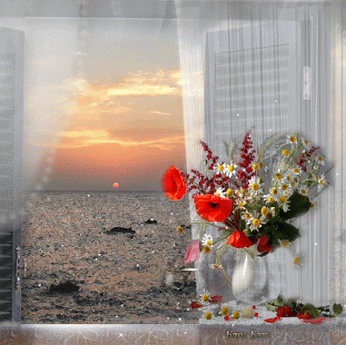 Живые фотографии – Живые картинки – Сообщество – Google+