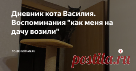 Дневник кота Василия. Воспоминания "как меня на дачу возили" Все проснулись очень рано, но при этом никто не ушел на работу. Хозяева бегали по квартире, перекладывали вещи и кричали, что они слишком долго собираются. А потом началось самое страшное…
