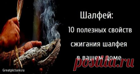 Шалфей: 10 полезных свойств сжигания шалфея в вашем доме