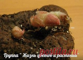 Мои закладки