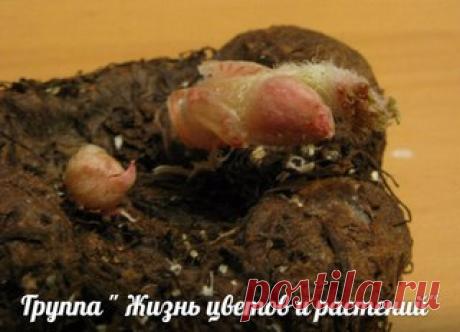 Мои закладки