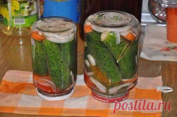 Маринованные огурчики “Болгария отдыхает”

Этот рецепт взят из книги 