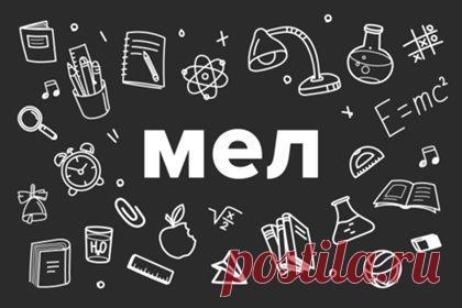 НЕТ БЕЗДАРНЫХ ДЕТЕЙ | Мел